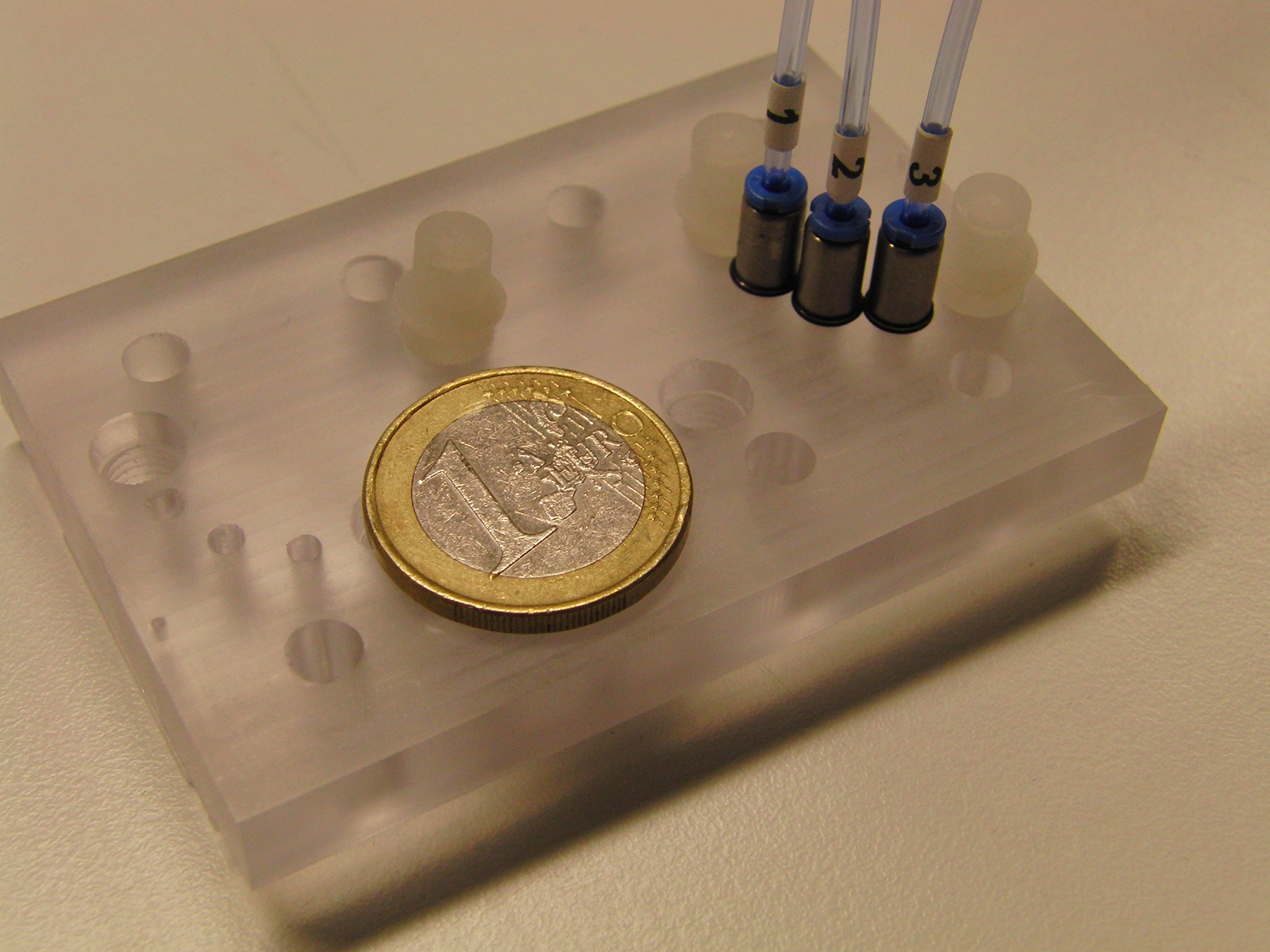 Mit dem kompakten Multiorgan-Chip (Größenvergleich Ein-Euro-Münze) und dessen drei separaten Mikrokreisläufen können Forscher die Regeneration von bestimmten Nierenzellen untersuchen.