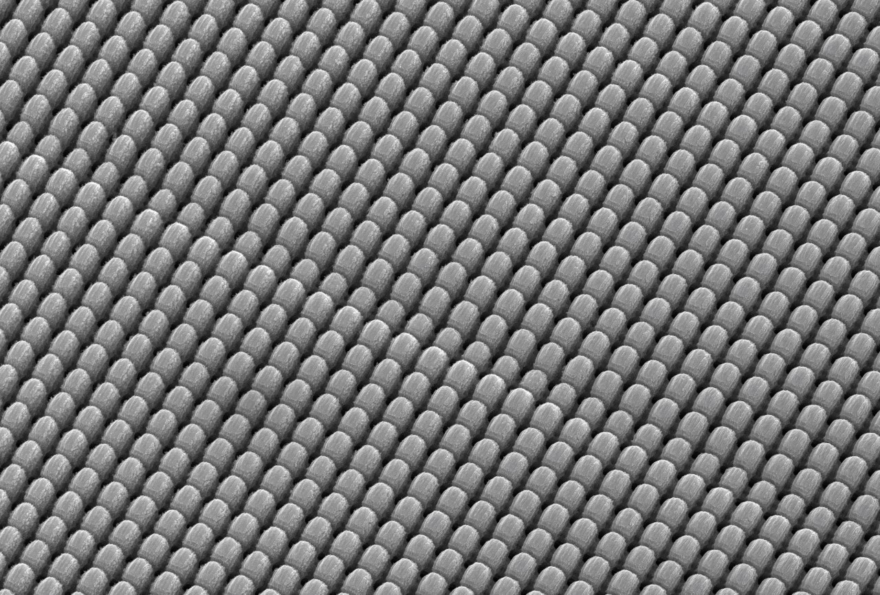 Microstructured metal component to improve tribological properties.