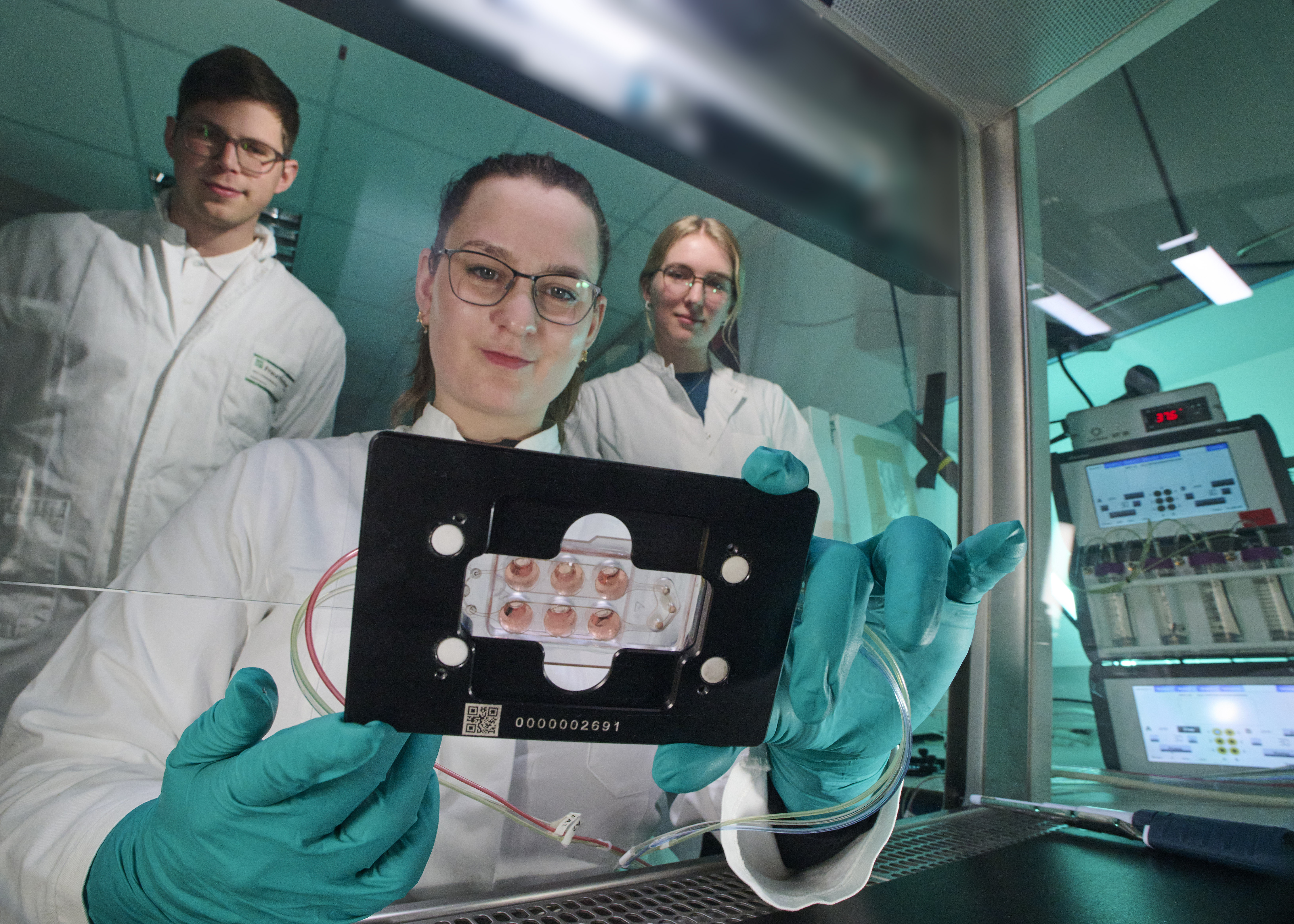 Researchers from Fraunhofer ITEM, Fraunhofer IWS, and the University of Regensburg are jointly investigating the growth of tumor cells in microphysiological systems.