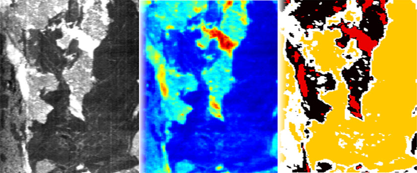 HSI study of a drill core; left: greyscale image; middle: NIR image; right: classification of different materials