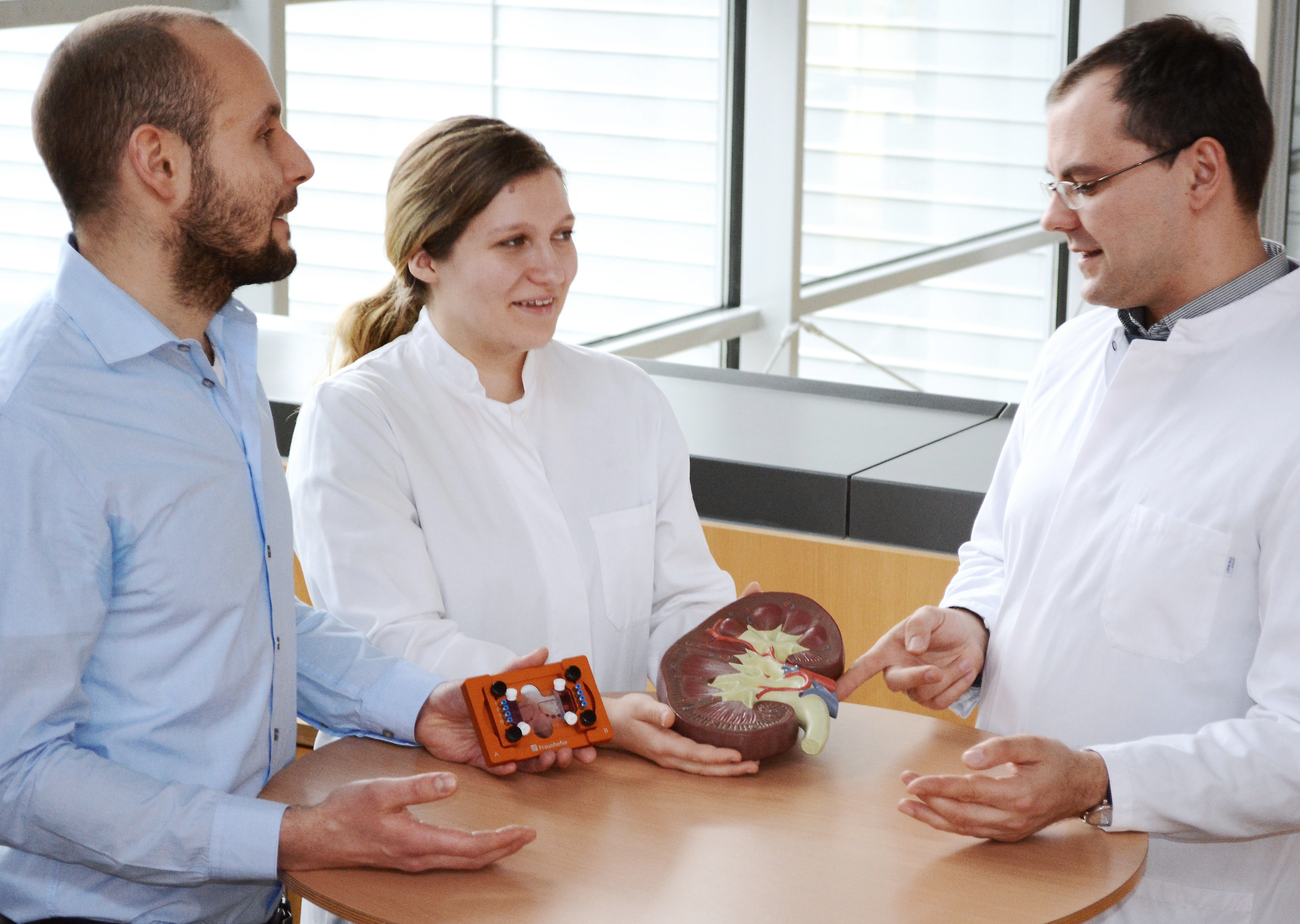 Florian Schmieder, Deborah Förster und Jan Sradnick (von links nach rechts) entwickeln gemeinsam ein mikrophysiologisches Modell der Niere. Damit schaffen sie die Grundlage für künstlichen Nierenersatz aus patienteneigenen Zellen.