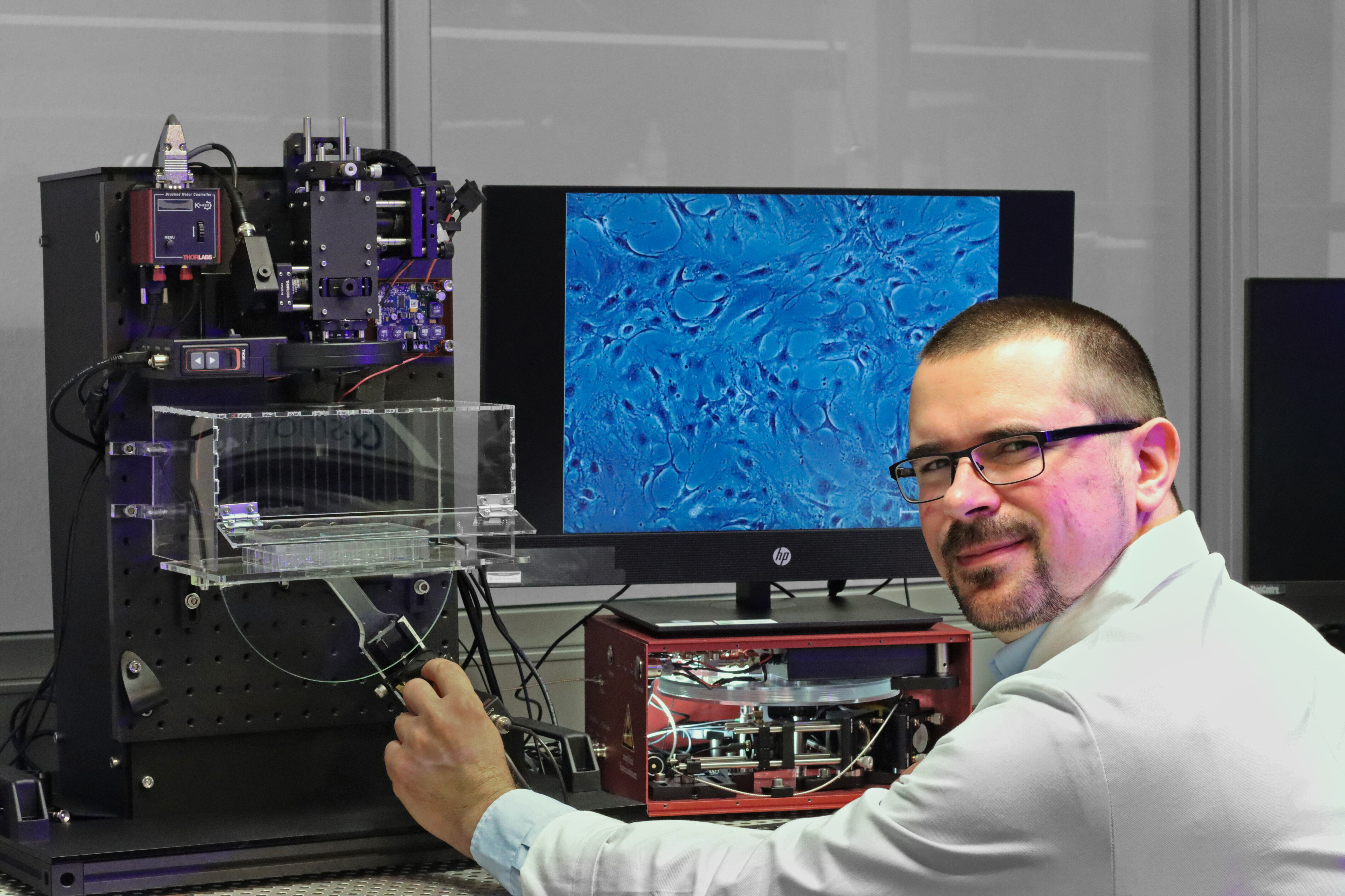 Die neue Weißlichtlaser-Quelle ermöglicht es Wissenschaftler Dr. Tobias Baselt, Zellveränderungen in Echtzeit zu erfassen.