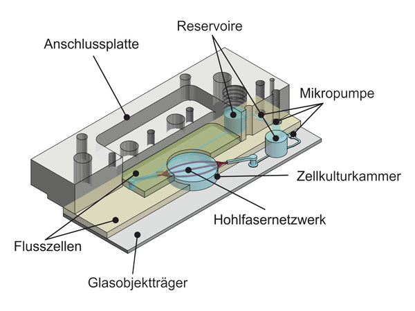 Schematische Darstellung des Perfusions-Mikro-Bioreaktorsystems