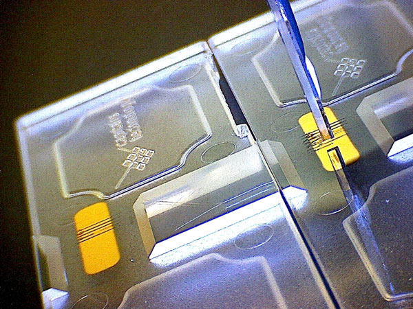 Funktionalisierung von SPR Chips mit Liganden durch Nanospotting mit Hilfe einer piezoelektrischen Dispensierpipette 