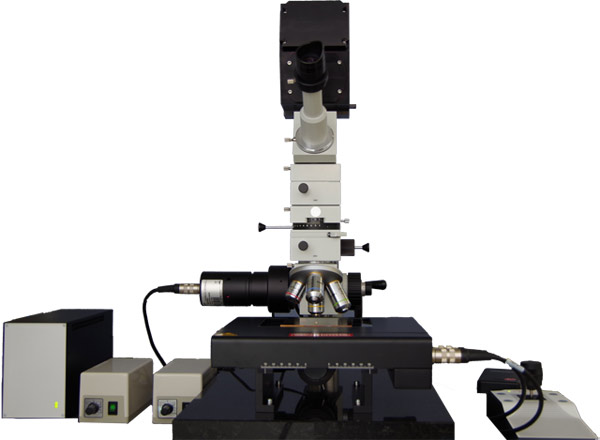 imanto® microscopy System