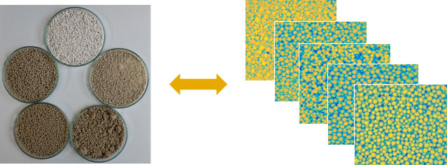 Granulat in unterschiedlichen Prozessstadien; links: Foto, rechts: ausgewertete HSI-Abbildungen