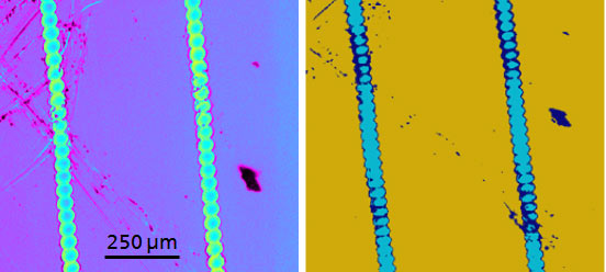 Laserabtrag eines OPV-Elements; links: HSI-Abbildung bei 590 nm; rechts: Klassifizierung (gelb – aktive Schicht, blau – ITO, dunkelblau – geschädigte Basisschicht)