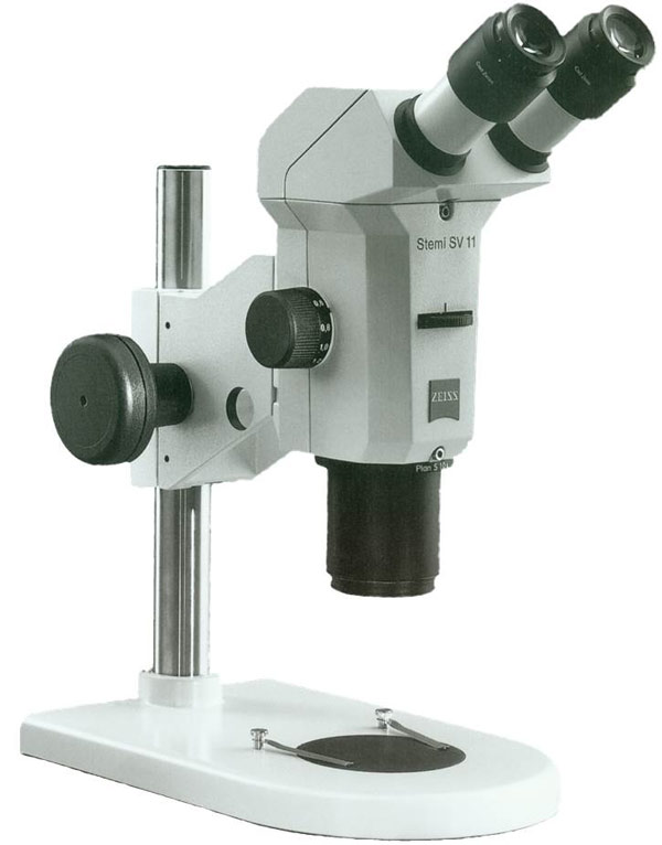 Stereomikroskop
