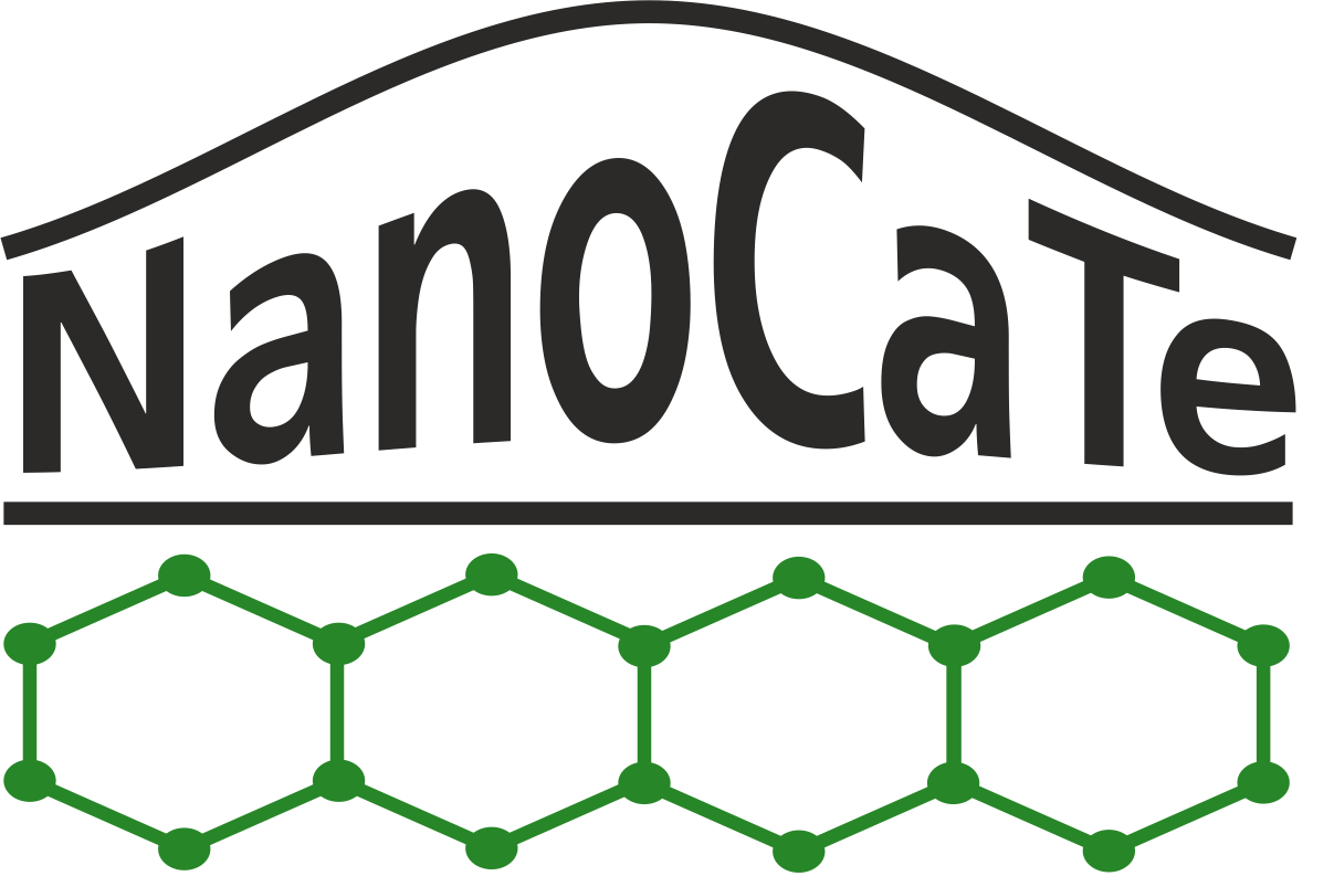 EU project NanoCaTe (Nano-carbons for versatile power supply modules)