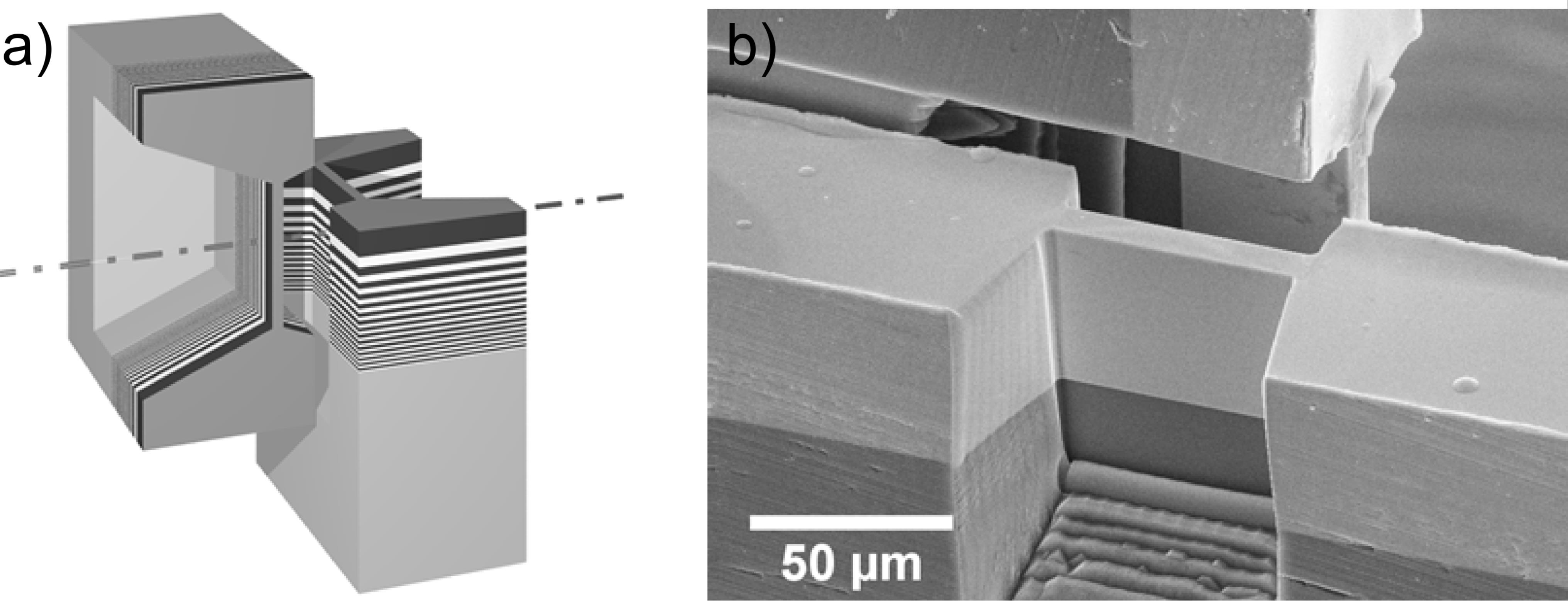 Principle of two crossed MLL (a), SEM image of two crossed MLL after FIB processing (b)