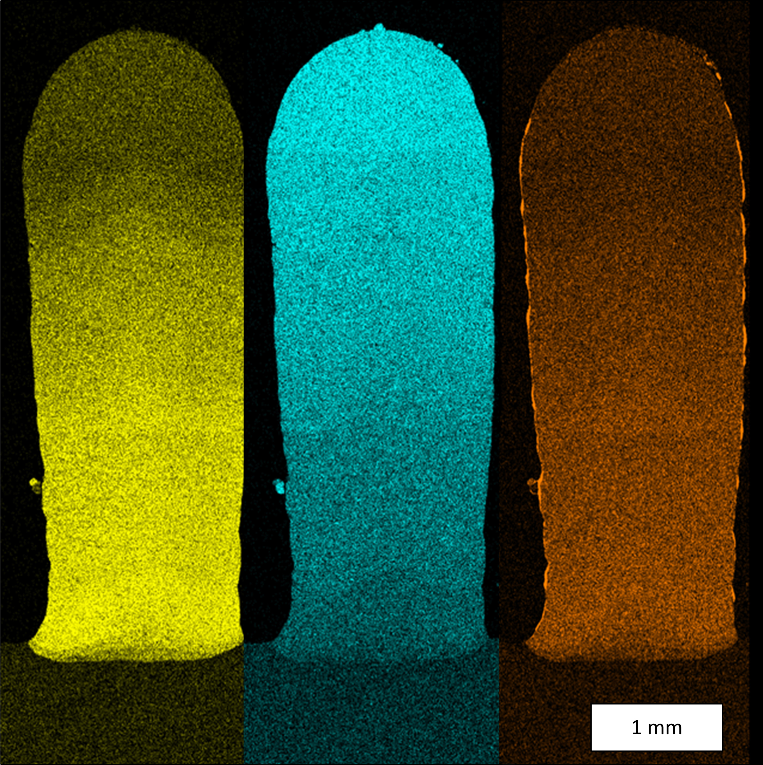 EDX-Mapping: The chemical analysis of a test geometry proves the material transition. The colors illustrate the continuous transition from the cobalt-based alloy Merl72 to the nickel-based superalloy IN 718 (yellow: cobalt, blue: nickel, orange: aluminum).