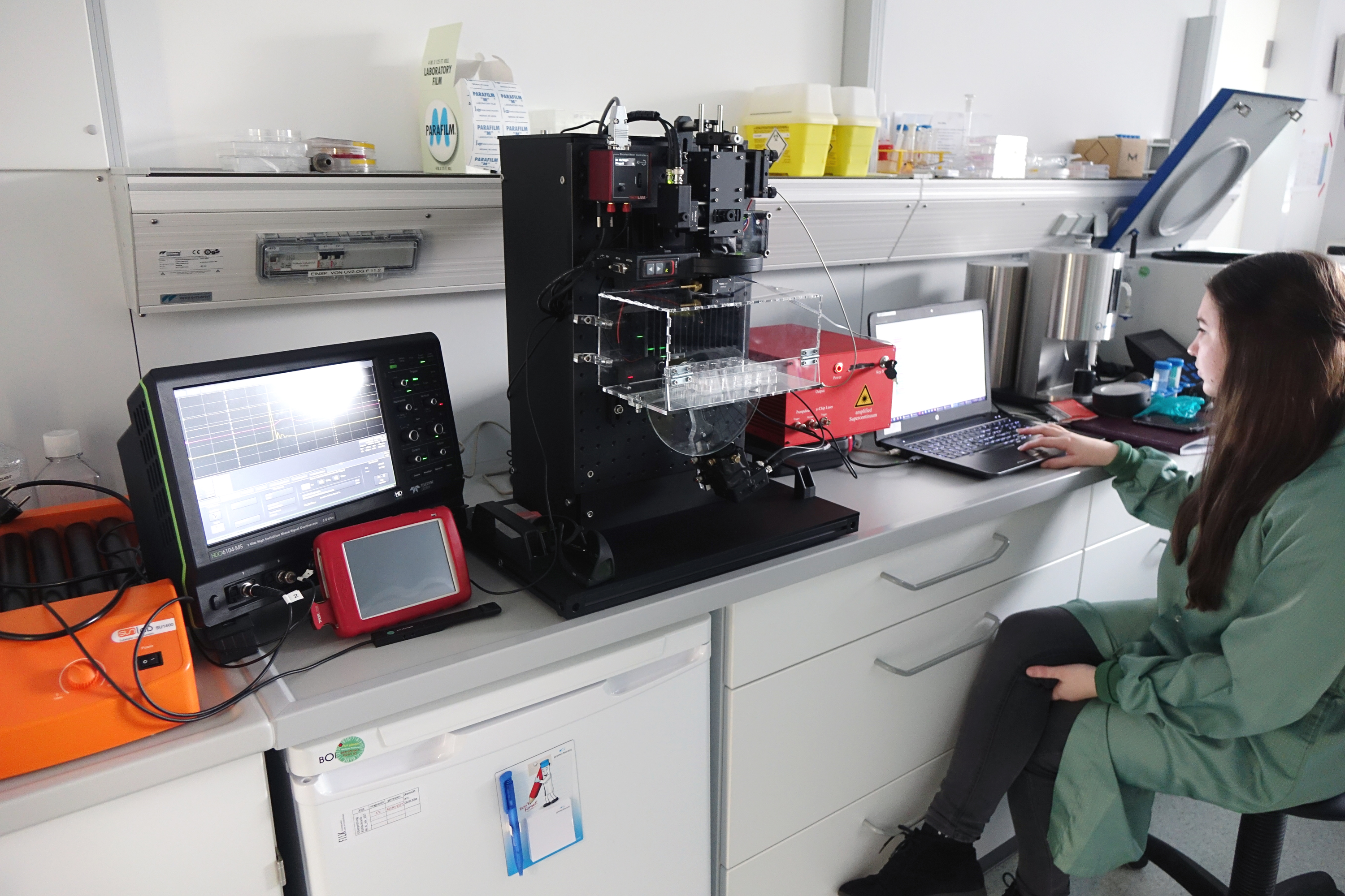 Mona Seemann, research assistant at Fraunhofer AZOM, working in the cell biology laboratory of the FILK Freiberg, investigating cartilage cell cultures. 