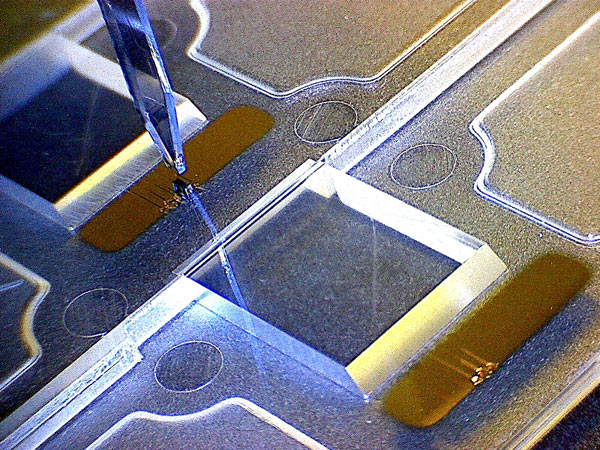 Funktionalisierung eines SPR-Chips durch Nanospotting