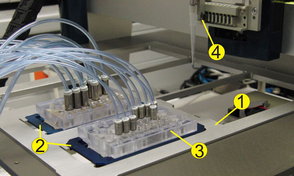 Multi-portal system with temperature-controlled support plate (1), support (2) for lab-on-a-chip system (3) and metering head (4) with pipette mount