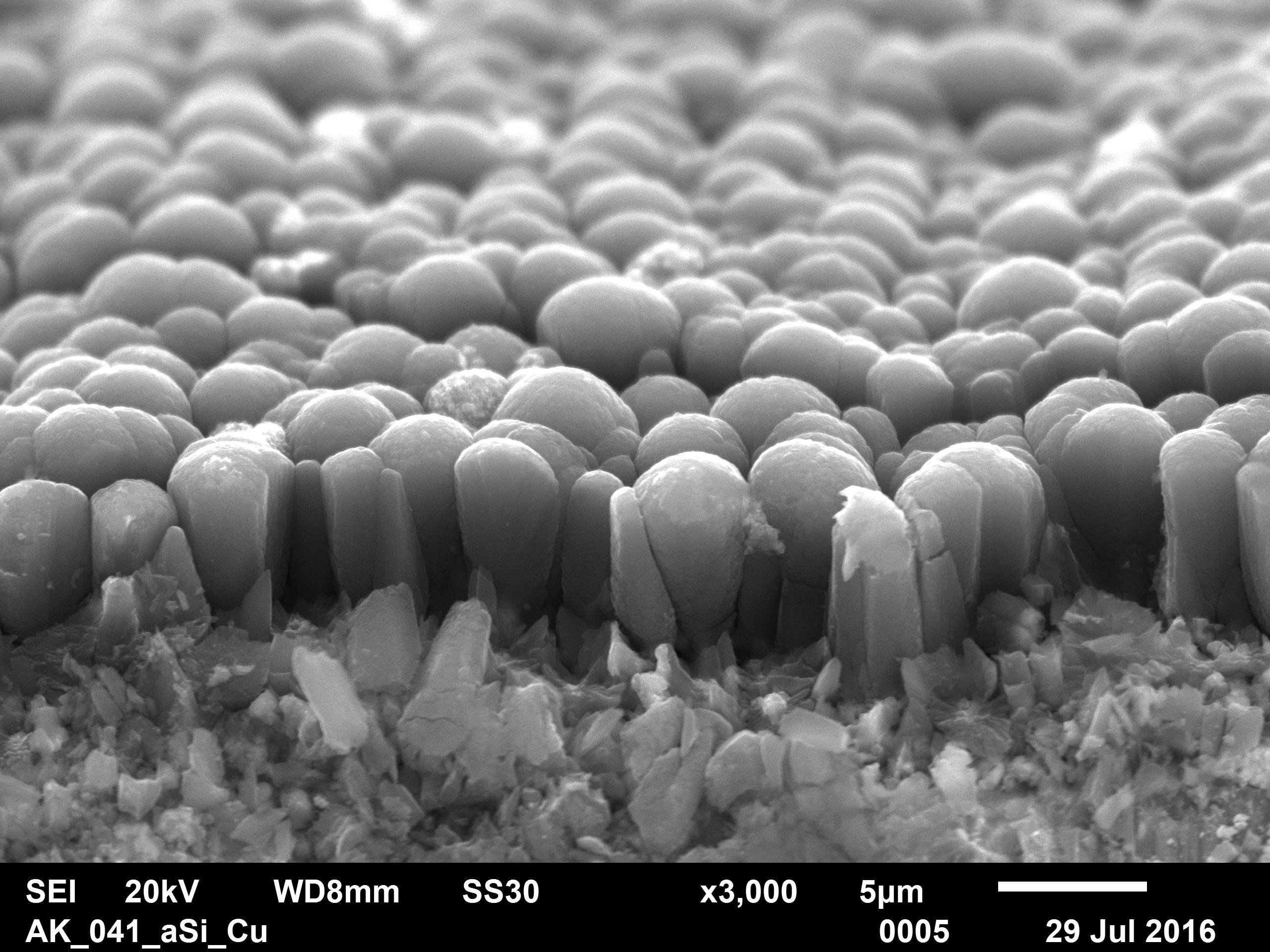 SEM image of a silicon layer with defined structure: The anodes' properties in the battery application can be controlled by selectively adjusting the structure and thickness of the layers.