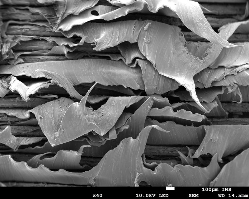 SEM image of a destructively tested polypropylene-aluminum joint.