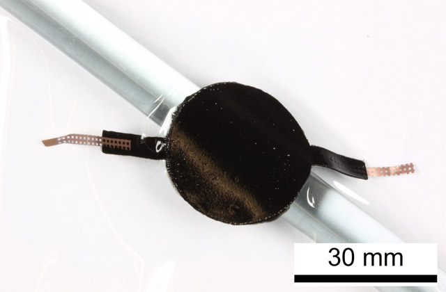 Full polymer dielectric polymer actuator for characterization Full polymer dielectric polymer actuator for characterization