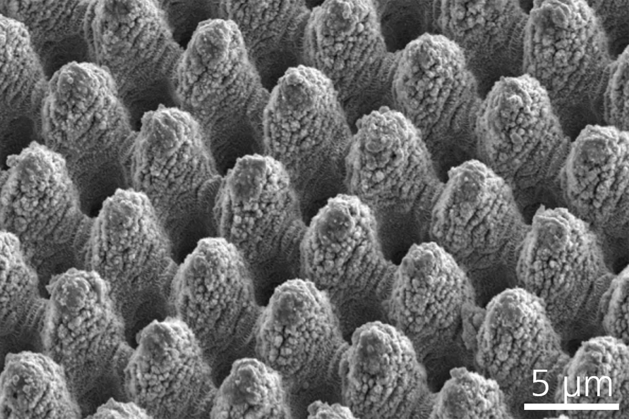 High magnification image of a DLIP textured surface under the scanning electron microscope.