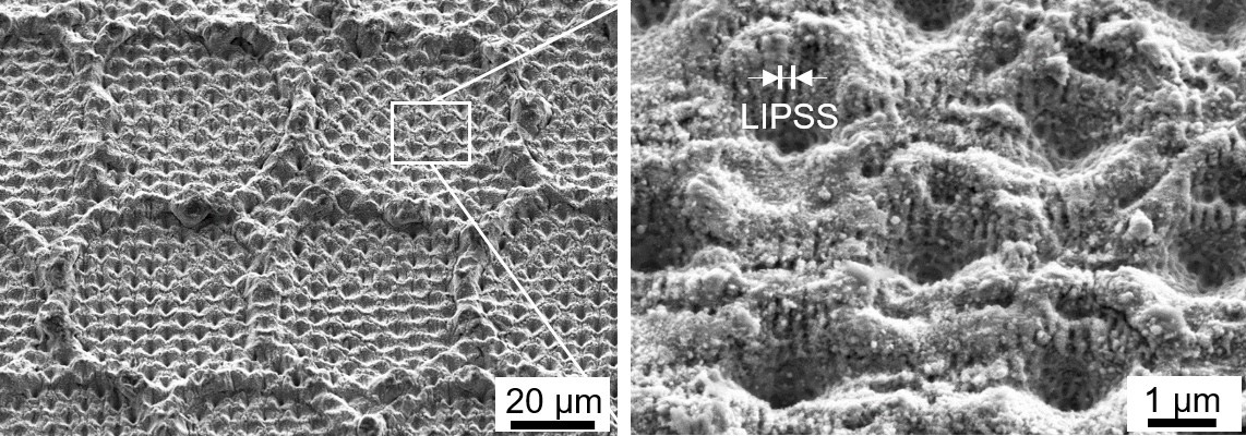 Multi-hierarchical surface combining DLW-produced crater structures (~50 µm structure size), DLIP-produced hole structures (~5 µm structure size) and LIPSS structures (~500 nm structure size).