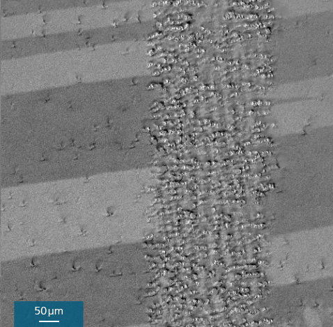 Kerr microscope image of the domains in the area of the laser line for thermally treated grain-oriented electrical sheet.