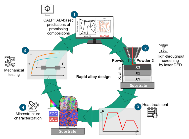 Schematic representation of an accelerated alloy development process: (1) CALPHAD-based prediction of promissing compositions, (2) high-throughput screening using laser-based additive manufacturing, (3) heat treatment, (4) microstructural characterization, and (5) mechanical testing in the iterative cycle of rapid alloy design.