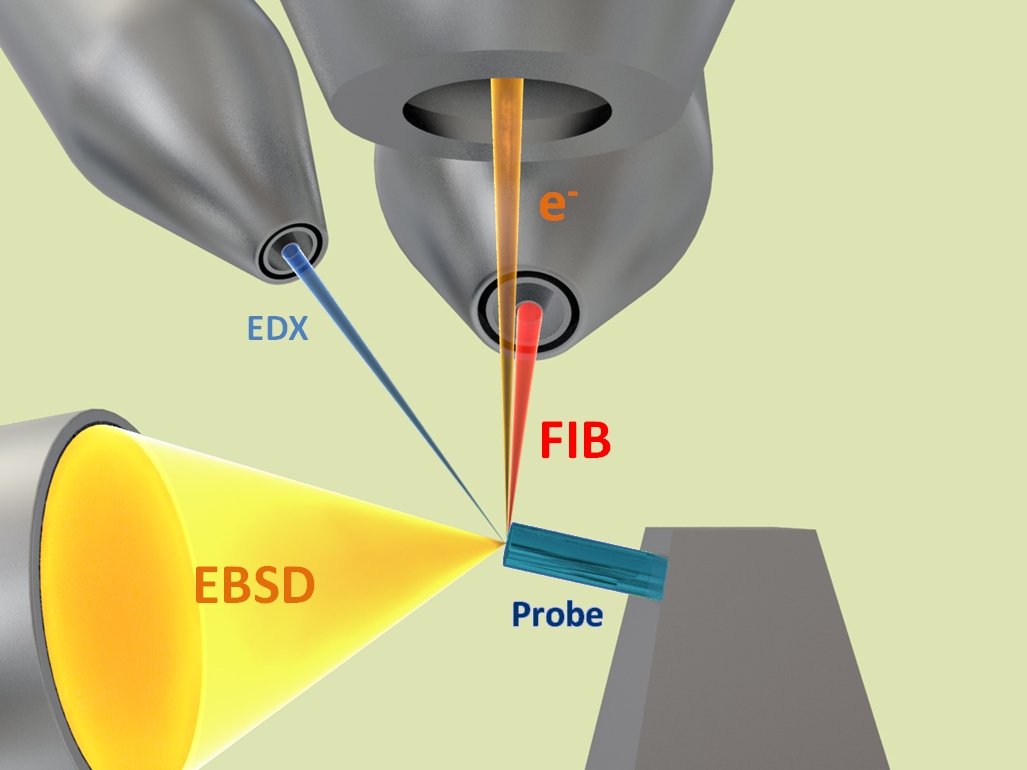 Dual beam system FIB with EDX and EBSD analytics.