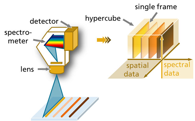 Scheme of the spectral data acquisition process of a HSI system