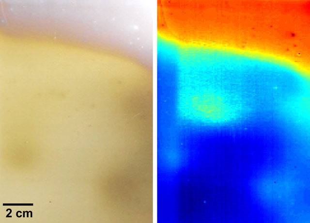 Al2O3 thin film on stainless steel substrate; left: photo; right: thin film thickness profile