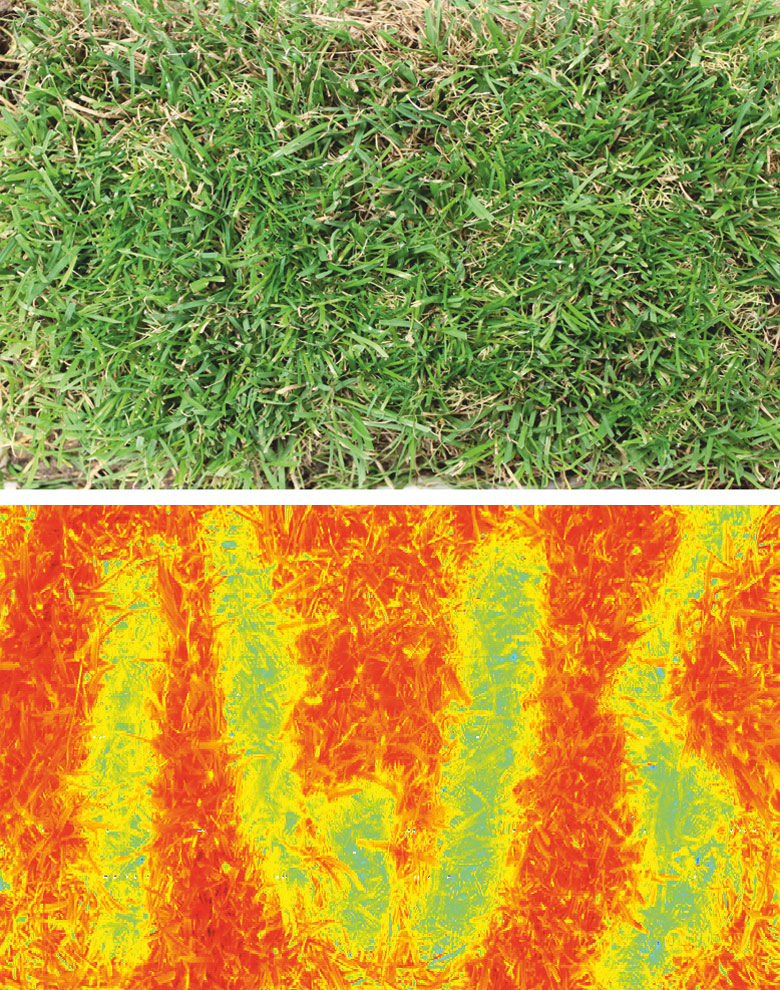 Embedded in grass, the ‚IWS‘ writing was made of snthetic turf and visualized by hyperspectral imaging