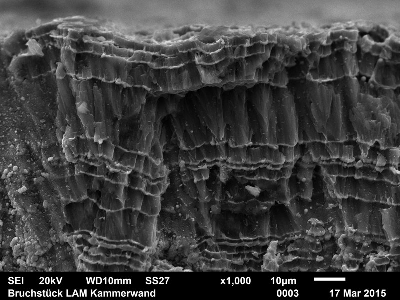 SEM image of a carbon-chromium multi-layer cross section